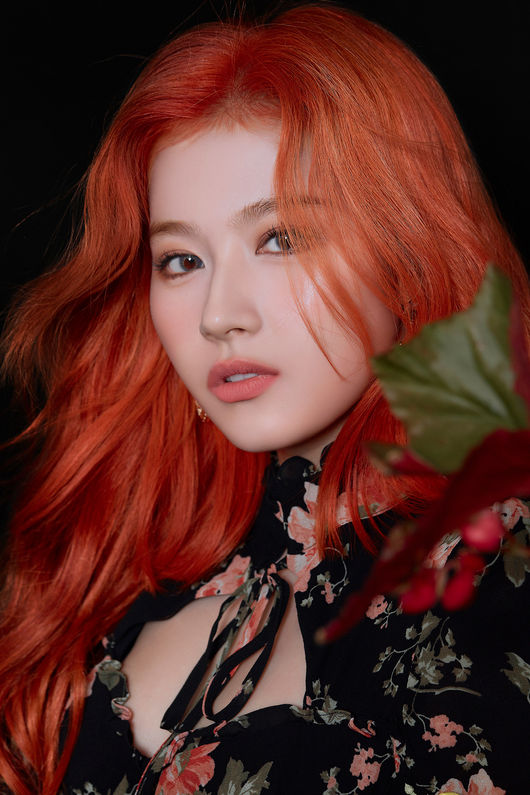 v live