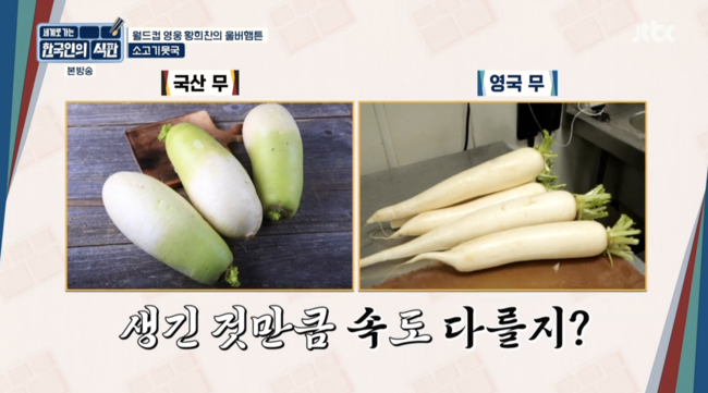 '한국인의 식판' 방송화면