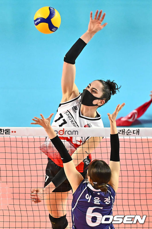 뉴스이미지