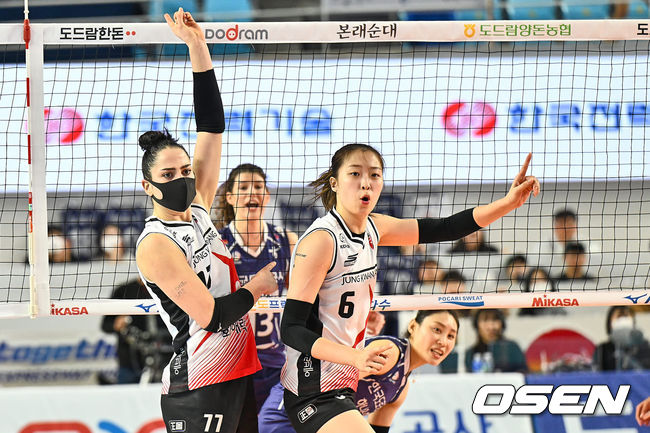 뉴스이미지