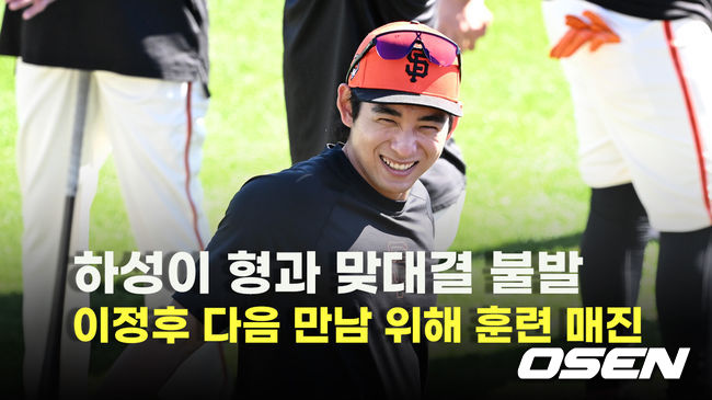 뉴스이미지