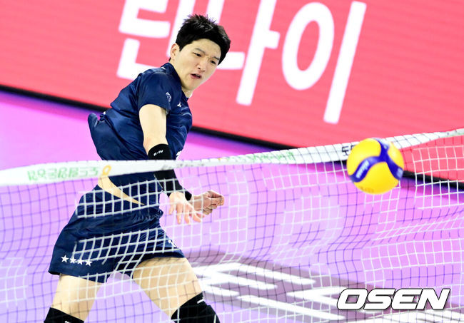 OSEN DB