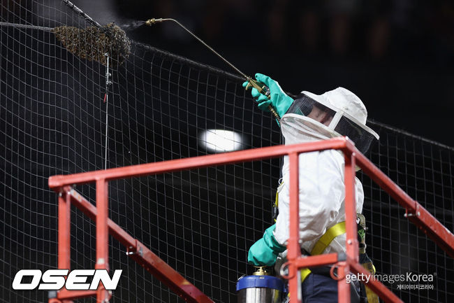 [사진] 체이스 필드 벌떼를 제거하는 양봉업자. ⓒGettyimages(무단전재 및 재배포 금지)