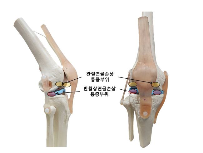 뉴스이미지