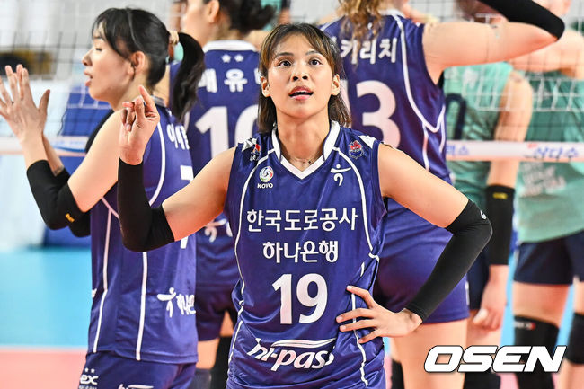 뉴스이미지