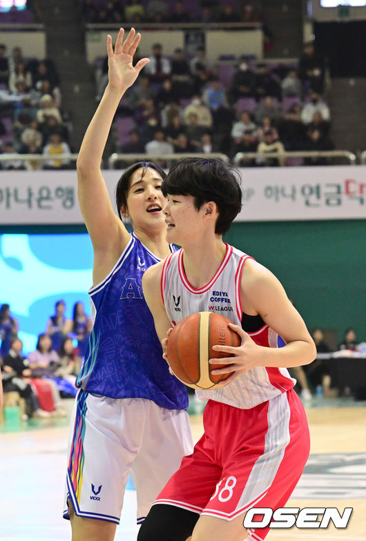 뉴스이미지