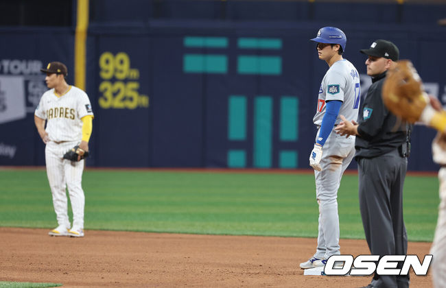 OSEN DB