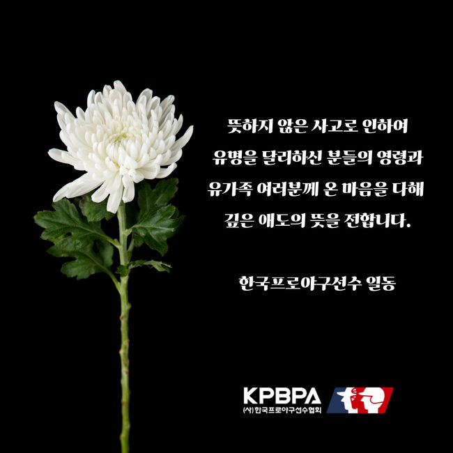 뉴스이미지