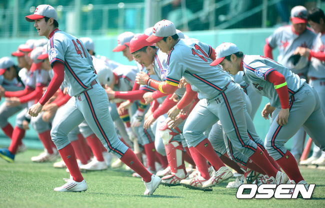 OSEN DB