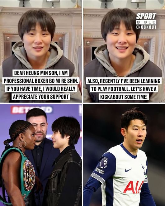 뉴스이미지