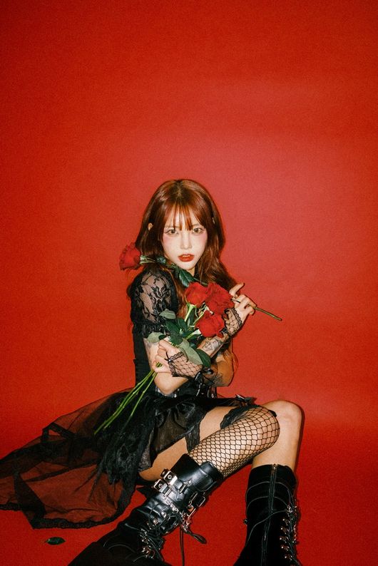 뉴스이미지