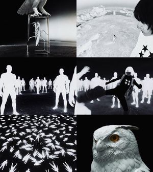 "180도 뒤집힌 초현실 세계"...빌리, 정규 1집 서브곡 'WORK' 영상 오픈 ... - 뉴스 썸네일 이미지