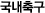 국내축구