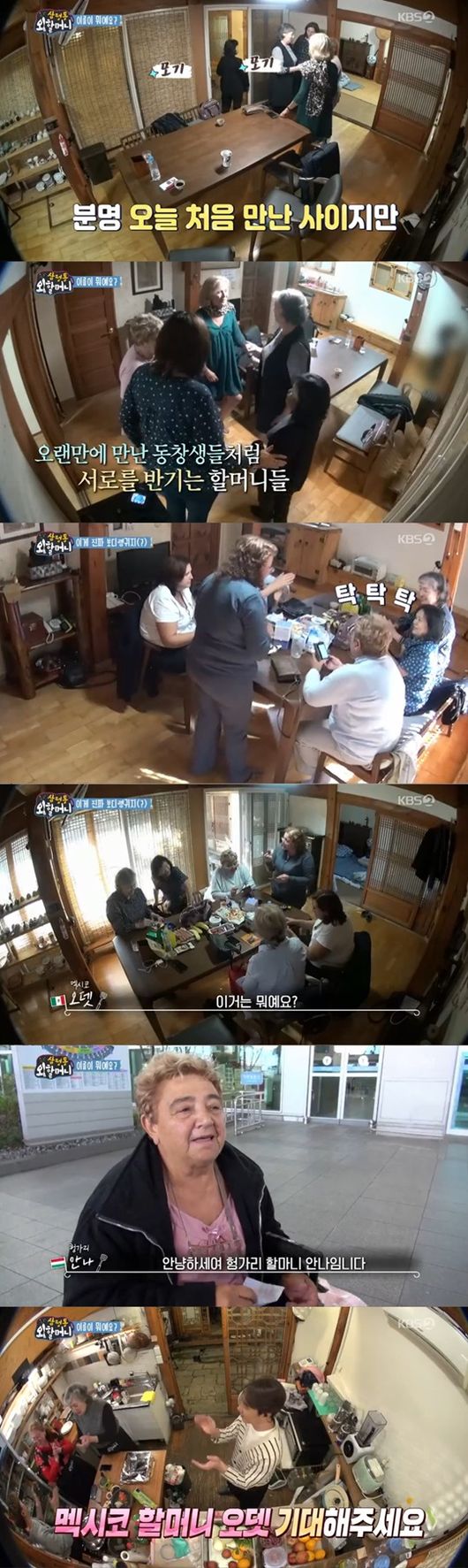 &apos;삼청동 외할머니&apos;, 할머니들과 첫 만남...고사로 &apos;개업 준비 끝&apos; [종합]