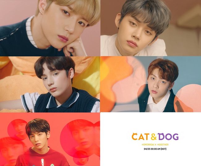 [사진] 빅히트 엔터테인먼트 제공