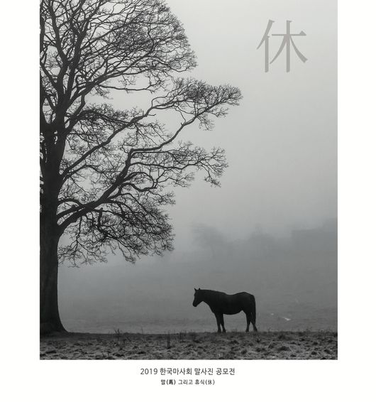 [사진]한국마사회 제공