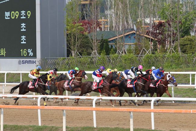 [사진]한국마사회 제공