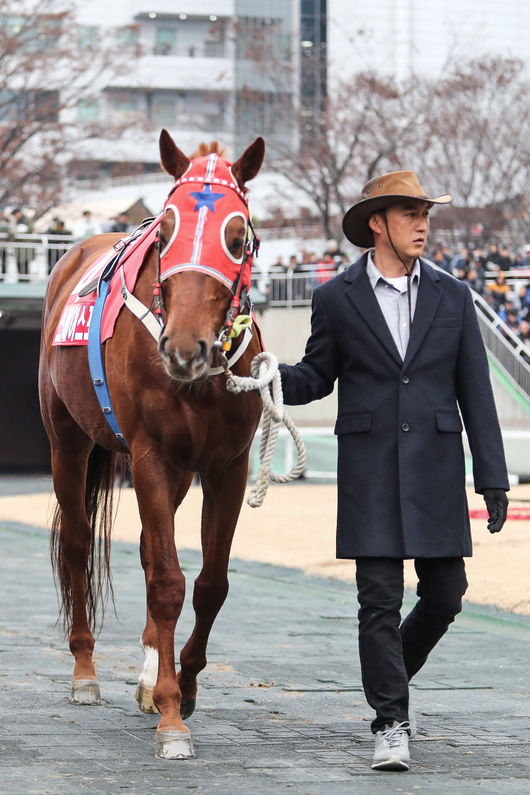 [사진]한국마사회 제공