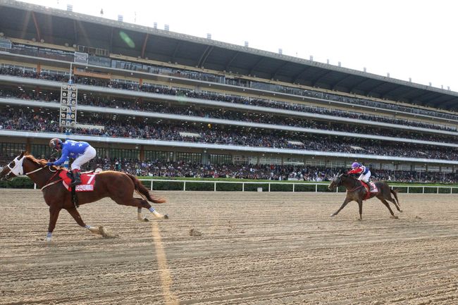 [사진]한국마사회 제공