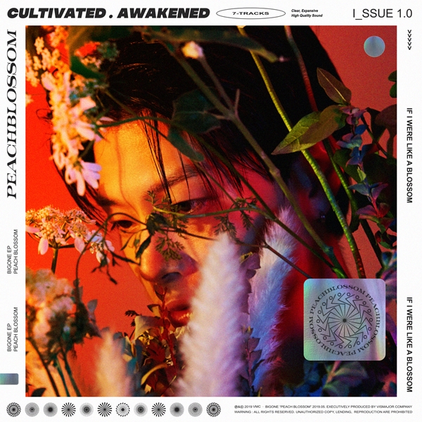 VMC(비스메이저컴퍼니) 제공