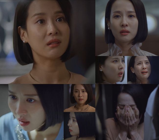 '아름다운 세상' 제공