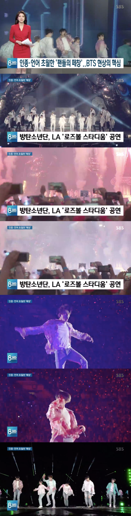 SBS '8뉴스' 방송화면 캡처