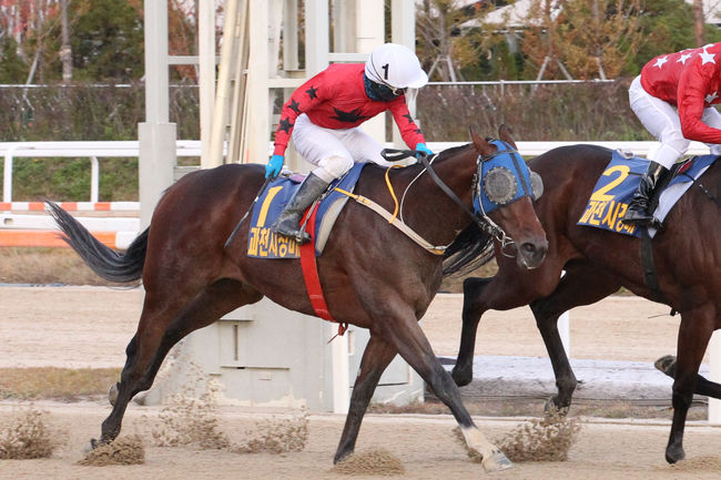 [사진]한국마사회 제공