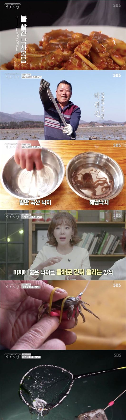 [사진=SBS 방송화면 캡처] '식재료 중심-격조식당' 첫 방송 전라남도 해남 낙지