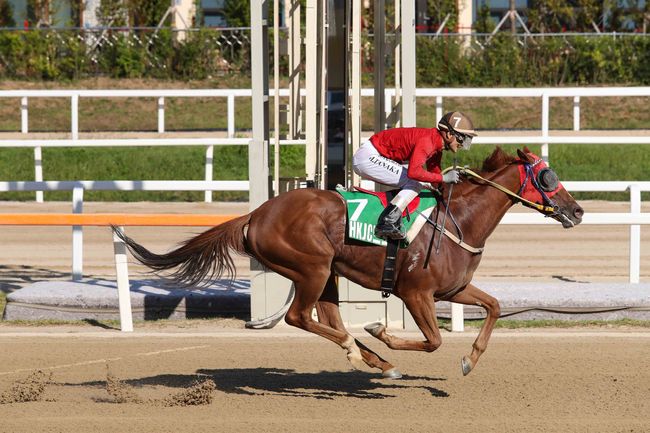 [사진]한국마사회 제공