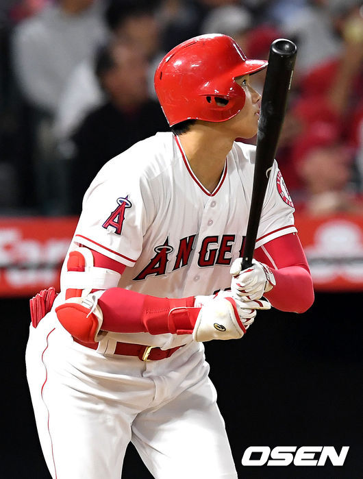 오타니 쇼헤이.  /dreamer@osen.co.kr