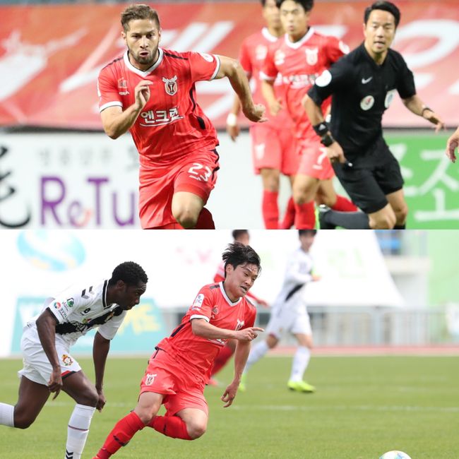 [사진] 제주 제공.