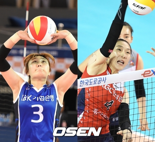 [사진] 염혜선-한수지 /OSEN DB