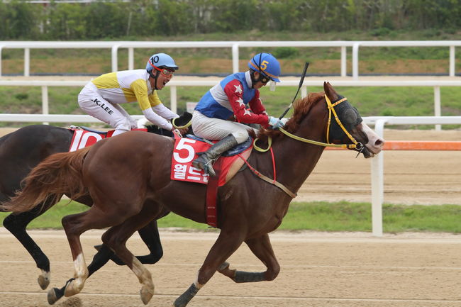[사진]한국마사회 제공