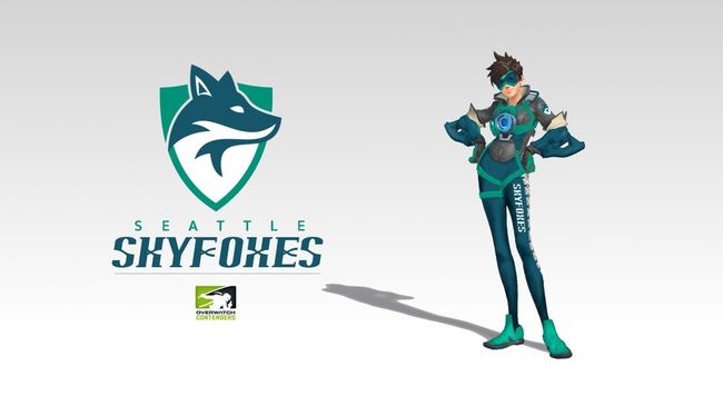 메타 스카이폭스 공식 SNS.