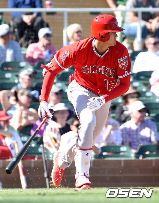 오타니 쇼헤이 /jpnews@osen.co.kr