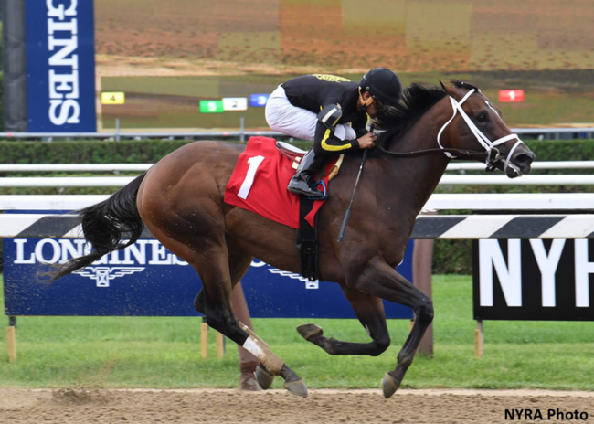 [사진]한국마사회 제공