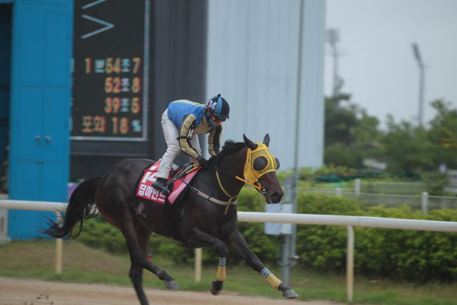 [사진]딥마인드 /한국마사회 제공
