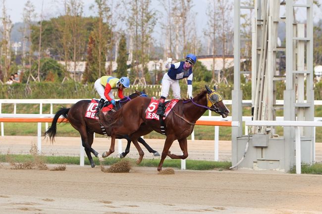 [사진]초인마 /한국마사회 제공