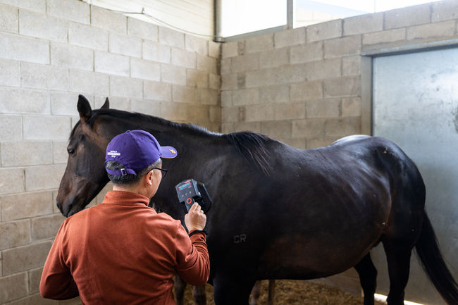 [사진]한국마사회 제공