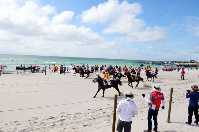 [사진]한국마사회 제공
