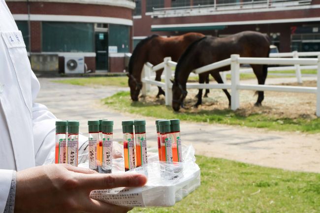[사진]한국마사회 제공