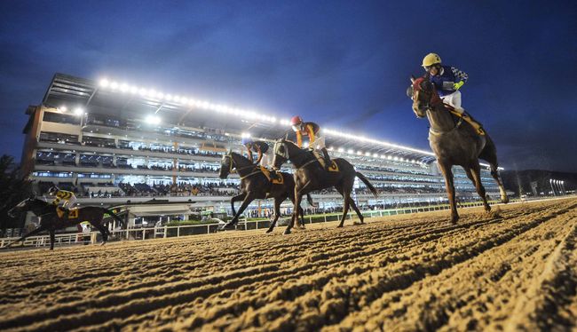 [사진]한국마사회 제공