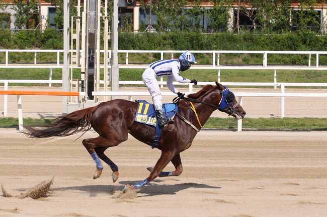 [사진]불의고리 /한국마사회 제공