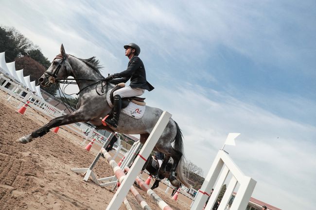 [사진]한국마사회 제공