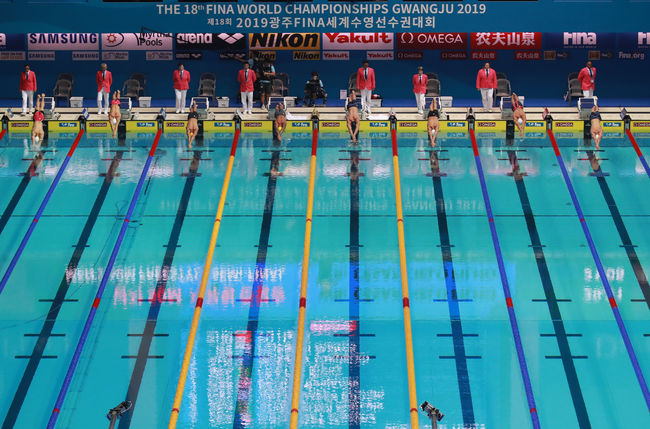 [사진]2019광주세계수영선수권대회조직위원회 제공