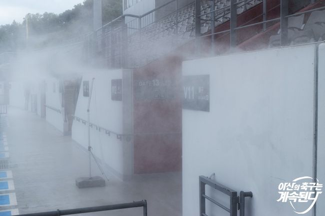 [사진]아산 무궁화 제공