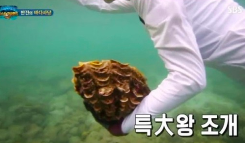 '정글의 법칙' 방송화면 캡처