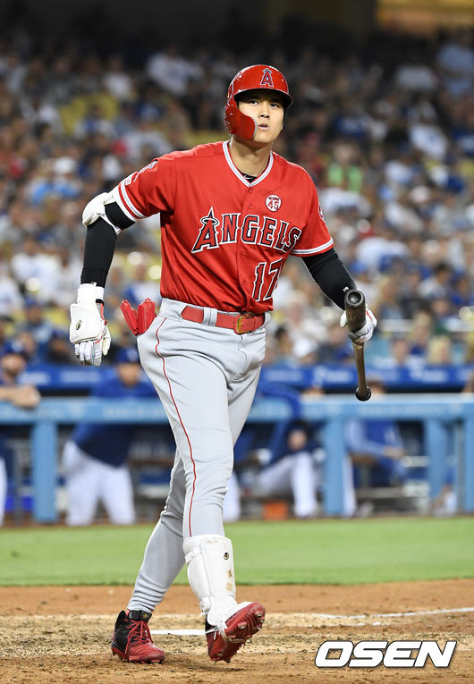 오타니 쇼헤이 /jpnews@osen.co.kr