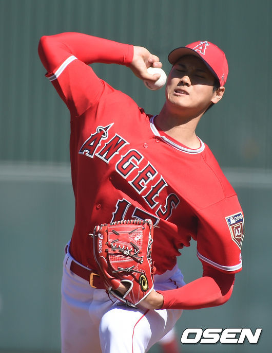 오타니 쇼헤이./OSEN DB