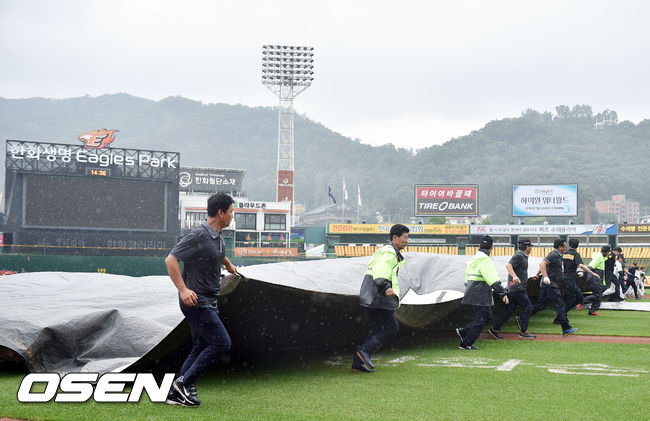 대전 한화생명이글스파크에서 쏟아지는 비에 구장 관리 요원들이 방수포를 덮고 있다. /OSEN DB